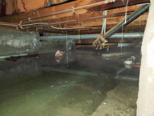 Best Commercial water damage restoration  in Ben Wheeler, TX