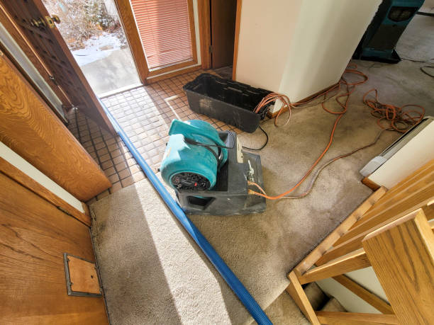 Best Water damage contractors near me  in Ben Wheeler, TX