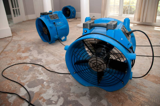 Best 24/7 water damage repair  in Ben Wheeler, TX