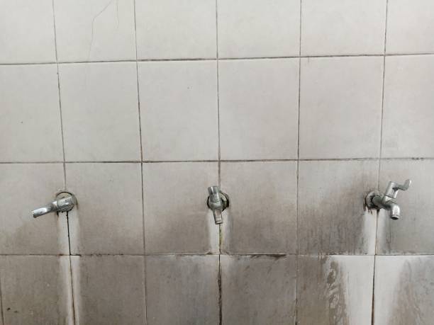 Best Water damage restoration company  in Ben Wheeler, TX