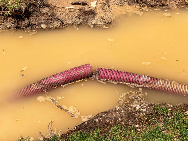 Best 24-hour water damage restoration  in Ben Wheeler, TX